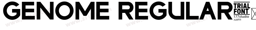 Genome Regular字体转换